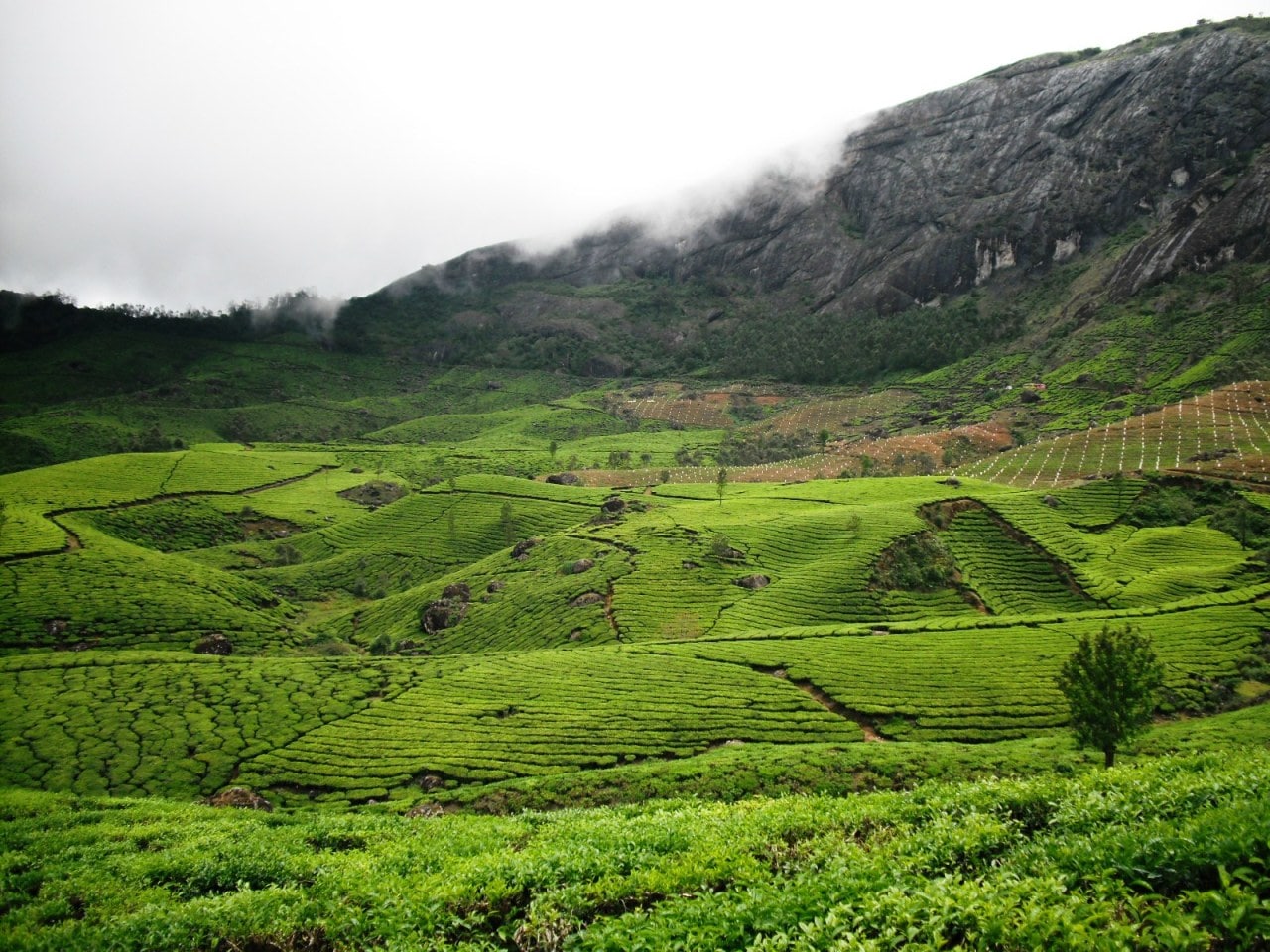 10 Best Places to Visit in Munnar, Munnar Sightseeing, Kerala Tourism