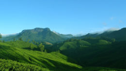 Best Places to Visit in Munnar