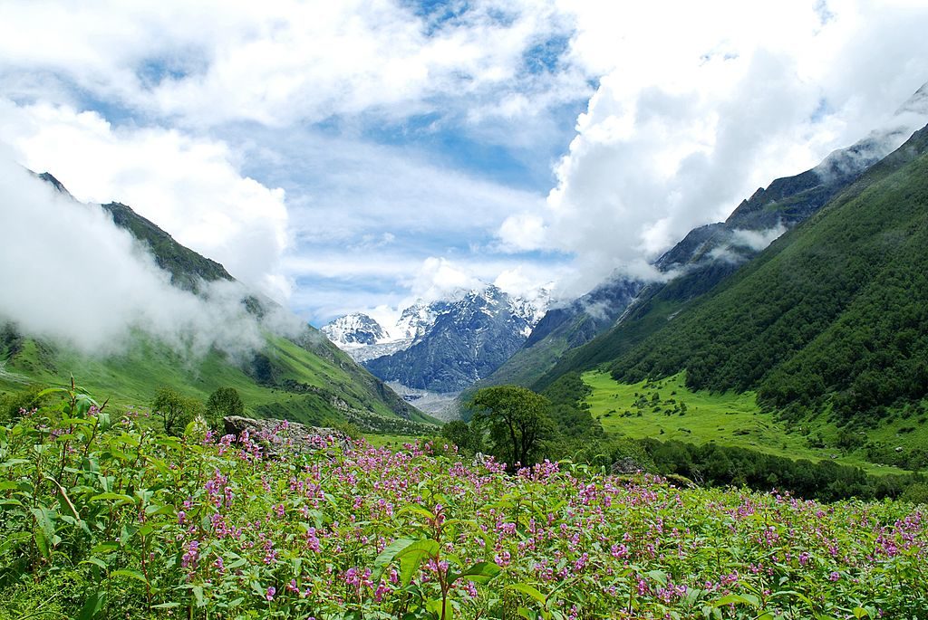 Valley of flowers Garhwal Uttarakhand, India