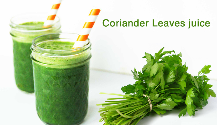 Coriander Leaves