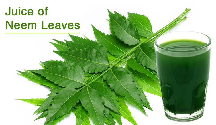 Juice of Neem Leaves