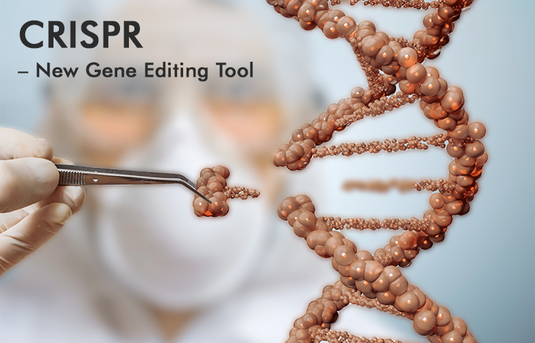 CRISPR – New Gene Editing Tool Can End Thousands Of Diseases - Trending ...