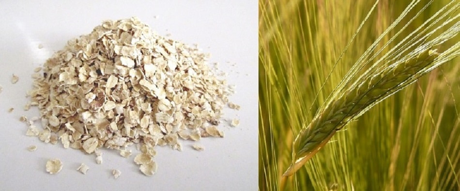 Oats and Barley 