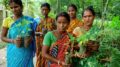 Rajasthan’s village receives new 111 trees with the birth of each girl child