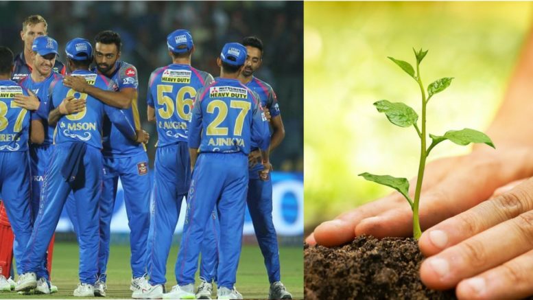 Rajasthan Royals Support Go Green Initiative By Accepting To Plant Saplings In Rajasthan State