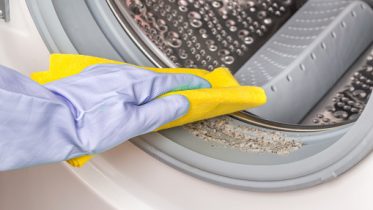 washing machine cleaining services