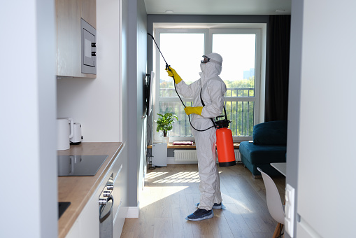 Things You Can Do in your Kitchen to Keep Pests Out
